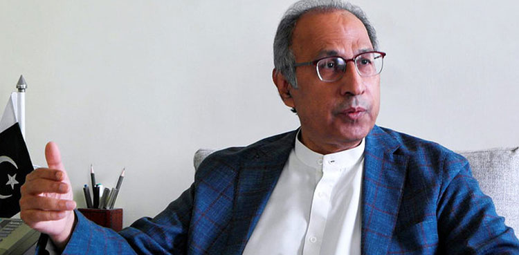 Hafeez Shaikh directs PC to present all privatisation plans within one week