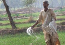 Urea offtake down 35pc, DAP sales up 6pc YoY in December