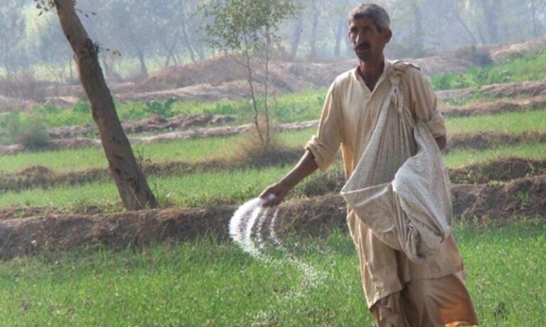 Urea offtake down 35pc, DAP sales up 6pc YoY in December