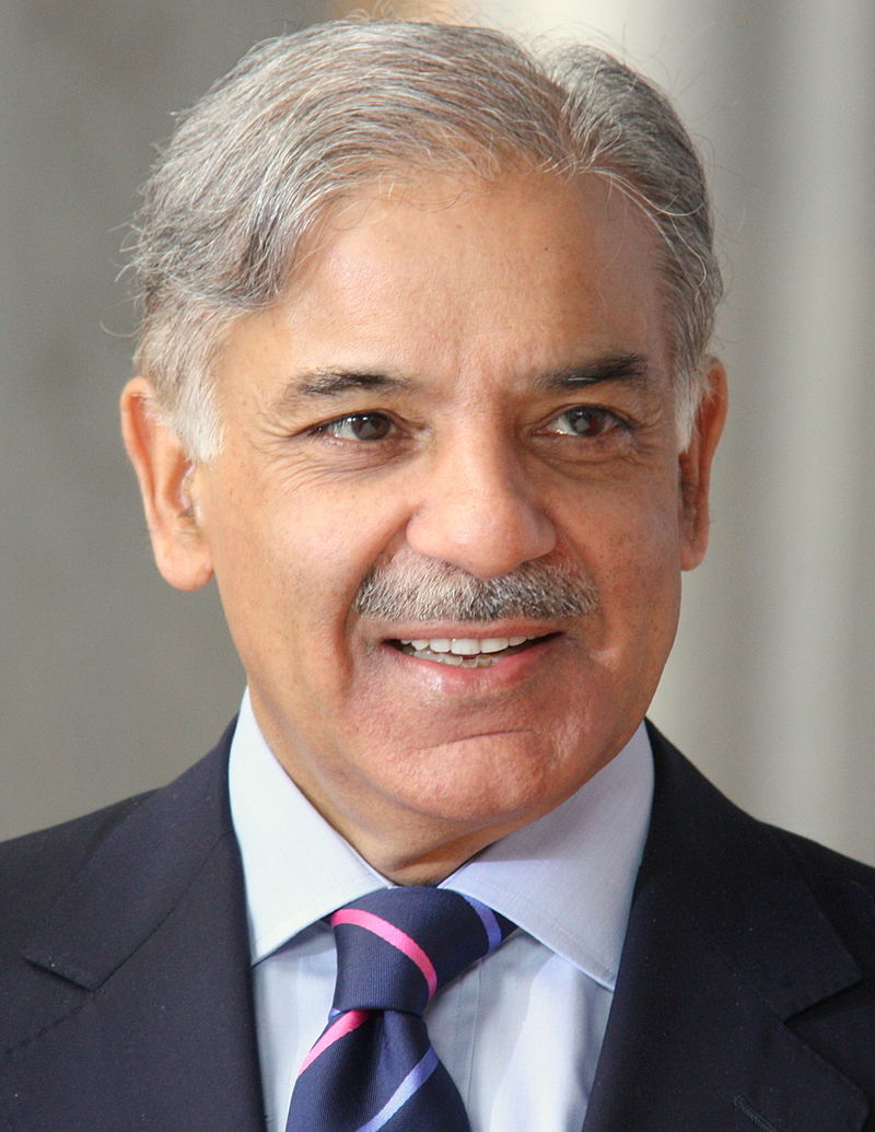 Shehbaz urges court to form board for medical check-up