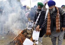 Indian farmers burn legislation in show of defiance