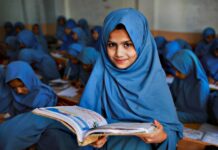 Promotion to higher classes dependent 50pc on assignments: minister