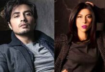 SC admits Meesha’s appeal against LHC dismissal of harassment claim