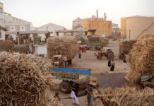 Sugar crisis intensifies in Punjab’s provincial capital