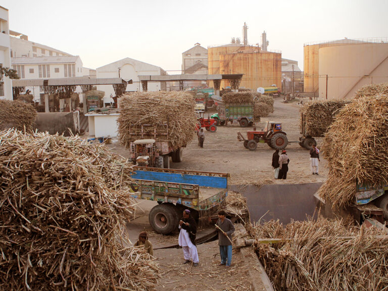 Ansari Sugar Mills vs Anver Majid: the saga continues