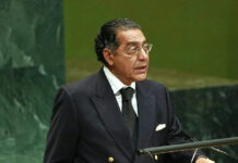 At UN, Pakistan calls for outlawing ‘violent nationalist’ RSS