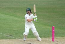 Pucovski half century lays platform for Australia in Sydney