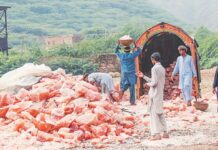 After GI tag for Basmati, Pakistan set to register pink salt as local product
