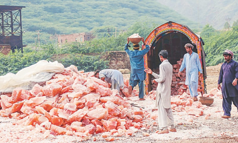 After GI tag for Basmati, Pakistan set to register pink salt as local product