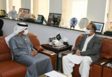 UAE keen to invest in Pakistan’s energy sector: envoy