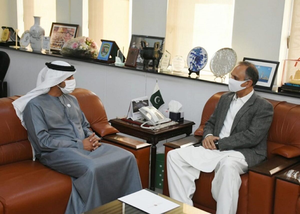 UAE keen to invest in Pakistan's energy sector: envoy
