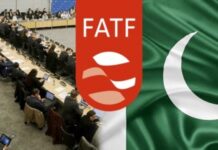 Pakistan to remain on FATF grey list till June