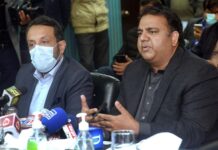 Govt establishing cannabis farms as alternative to cotton: Chaudhry