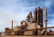 Lucky Cement pays out dividend after hiatus of three yearsÂ