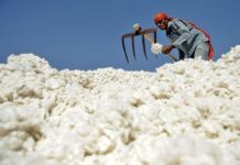 APTMA opposes import of Indian cotton