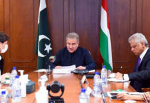 Pakistan, Hungary launch online platform to boost trade links