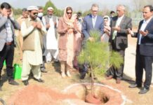 Australia gifts Miyawaki forest to Pakistan