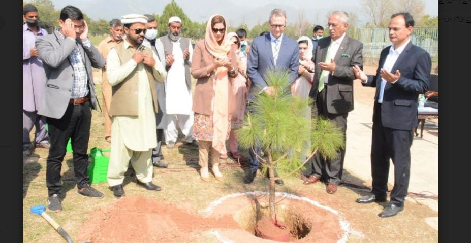 Australia gifts Miyawaki forest to Pakistan