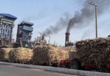 PSMA seeks inclusion of Inland Revenue officials in probe against sugar mills