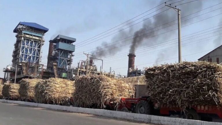 PSMA seeks inclusion of Inland Revenue officials in probe against sugar mills