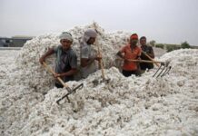 Pakistan to import cotton from Central Asian states