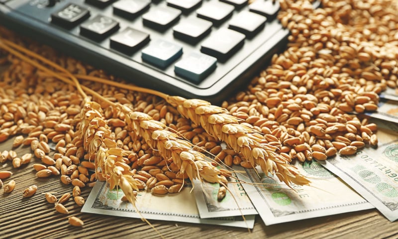 PBF demands uniform wheat support price across country