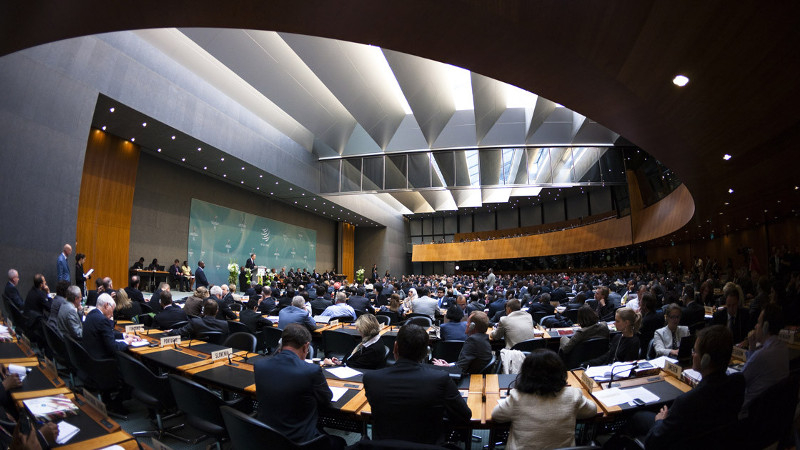 Pakistan to chair WTO committee on trade, development
