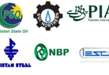 Govt to conduct forensic audit of loss making SOEs