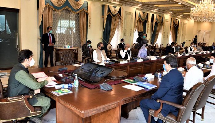 ECC constitutes sub-committee for approval of initial payment to IPPs