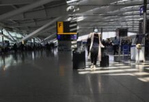 Aviation industry showing no sign of recovery: IATA