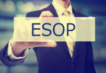 Why are employee stock option plans important for startups?