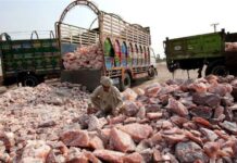 Pakistan inks Himalayan pink salt export deal with US company