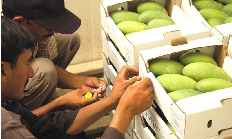 Australia approves two Pakistani mango facilities