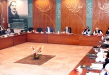 ECC directs ministries to expedite signing new PPA with K-ElectricÂ