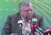 Tarin appointed as ECNEC chairman