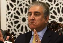 No justification to keep Pakistan on grey list after FATF agenda compliance: Qureshi