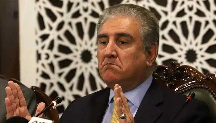 Govt encouraging foreign investors to invest in Pakistan: Qureshi
