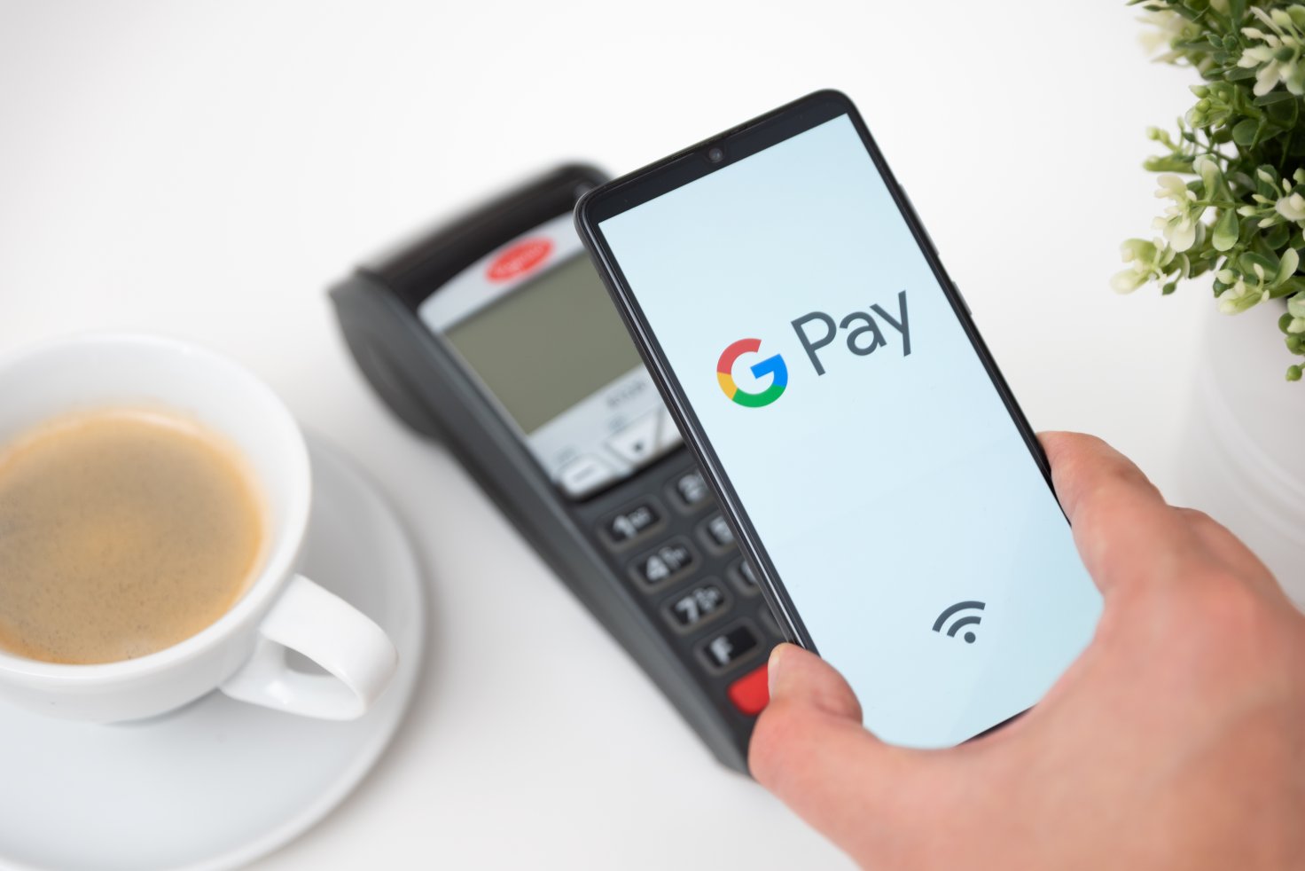 Google wallet to potentially launch in Pakistan by January 2025 ...