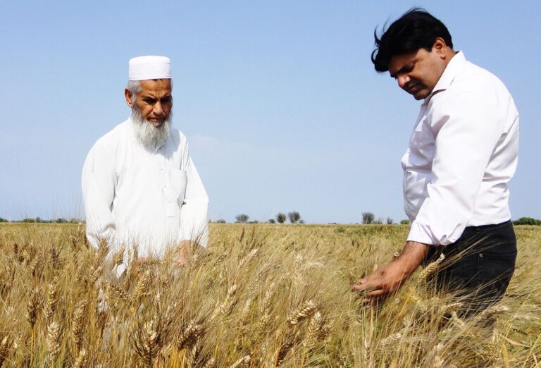 Govt to finance high-yielding crop research to reduce imports