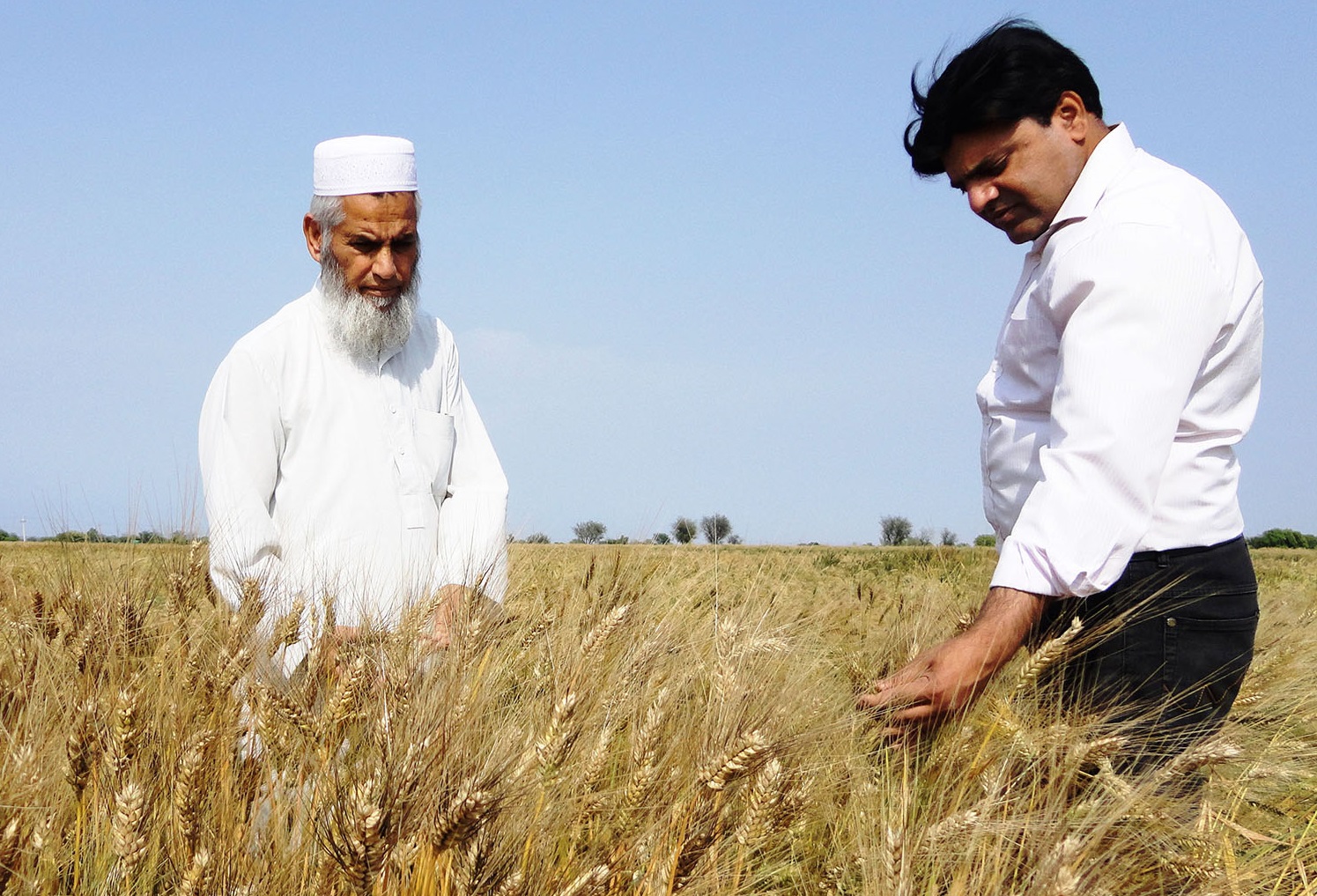 Govt to finance high-yielding crop research to reduce imports