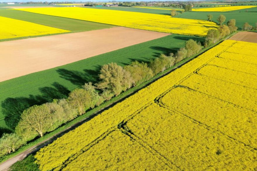 EU to finalise huge farm policy overhaul
