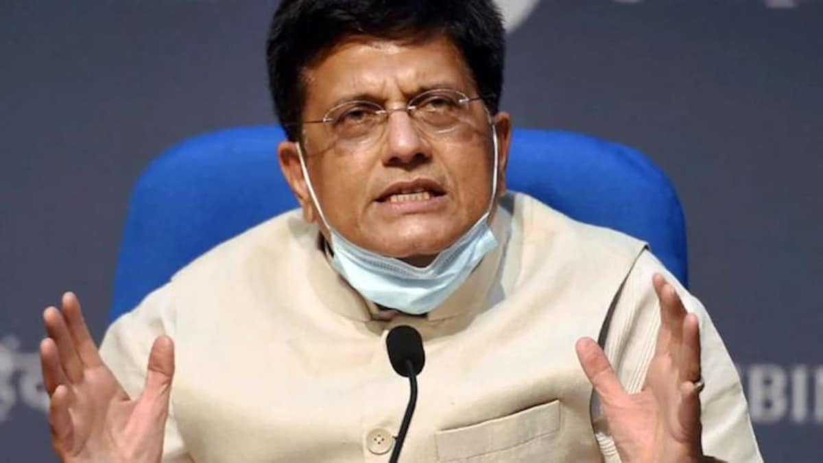 'Arrogant' US e-commerce giants flout our laws: Indian commerce minister