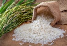 Finance minister promises to address rice export issues to boost foreign exchange