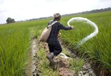 Pakistan’s fertilizer subsidy conundrum