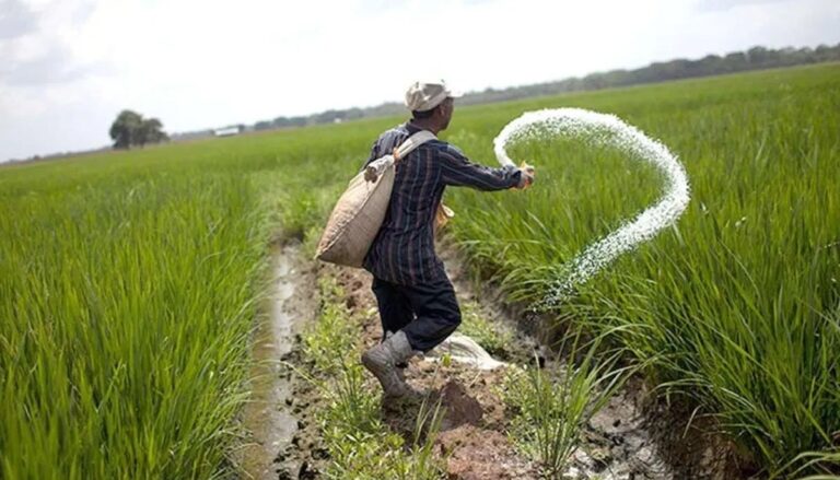 Pakistan negotiates with IMF to keep fertiliser and pesticide taxes unchanged