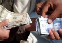 Dollar rate defies expectations, but what’s the real story?