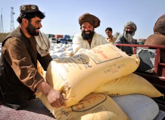 Afghanistan redirects trade to Iran, Central Asia as tensions with Pakistan rise