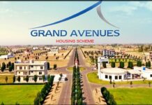 Another day, another fraudulent housing society