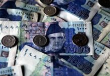 Rupee bloodbath continues, closes at 174