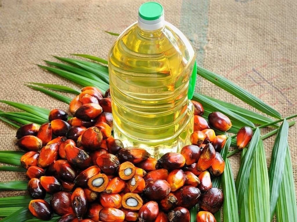 Palm retreats from record high, supply fears cap losses